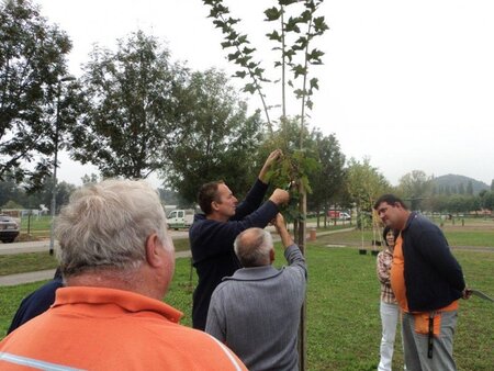 Delavnica - Park in mesto 2